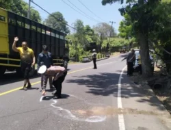 Kecelakaan Maut di Jalur Denpasar-Gilimanuk: Pemotor Tewas di Tempat